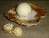 ZIEPJUTRAUKS 005.JPG